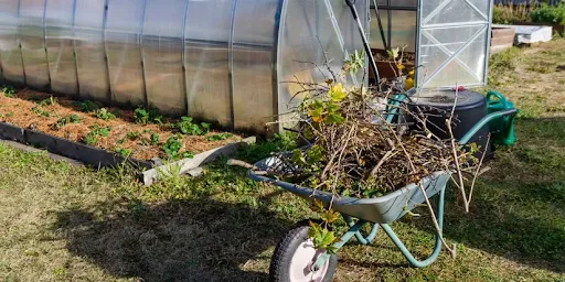 11rEcQk5 se9aSMhbAJyVKbfQuhuxf9E 1