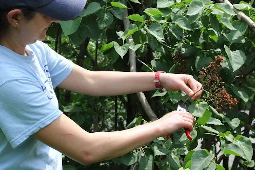 1flU6UAcpwyhjuelQIafJN4vTYrPHFJC