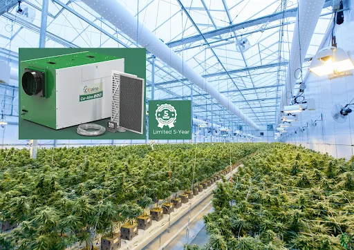 1gbS0MzkyKqpY fkUm 1yZREj y5xEC2