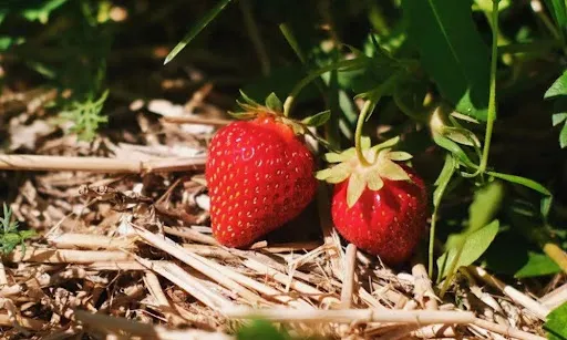 1gePKOnCtGqHdr lx2mLhX8PNbTJyKKt