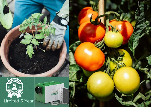 1xb1EcG4NkSNHvoY2fvk9BN7kv7TKiaV