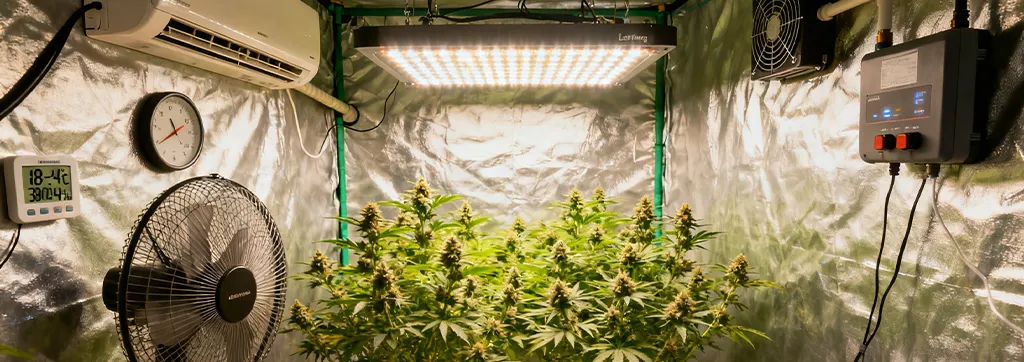 How to Adjust Humidity & Temperature in Grow Tents