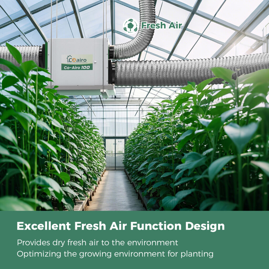 coairo whole house dhumidifier 7