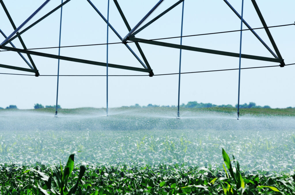 a humid greenhouse