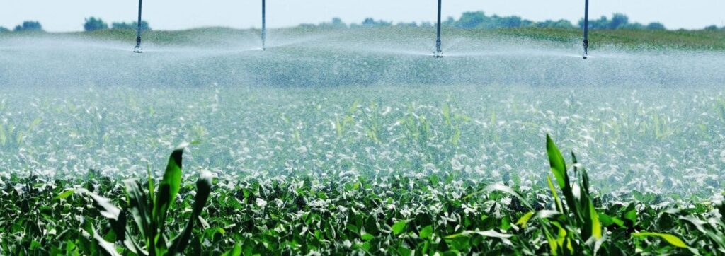 greenhouse crops being irrigated