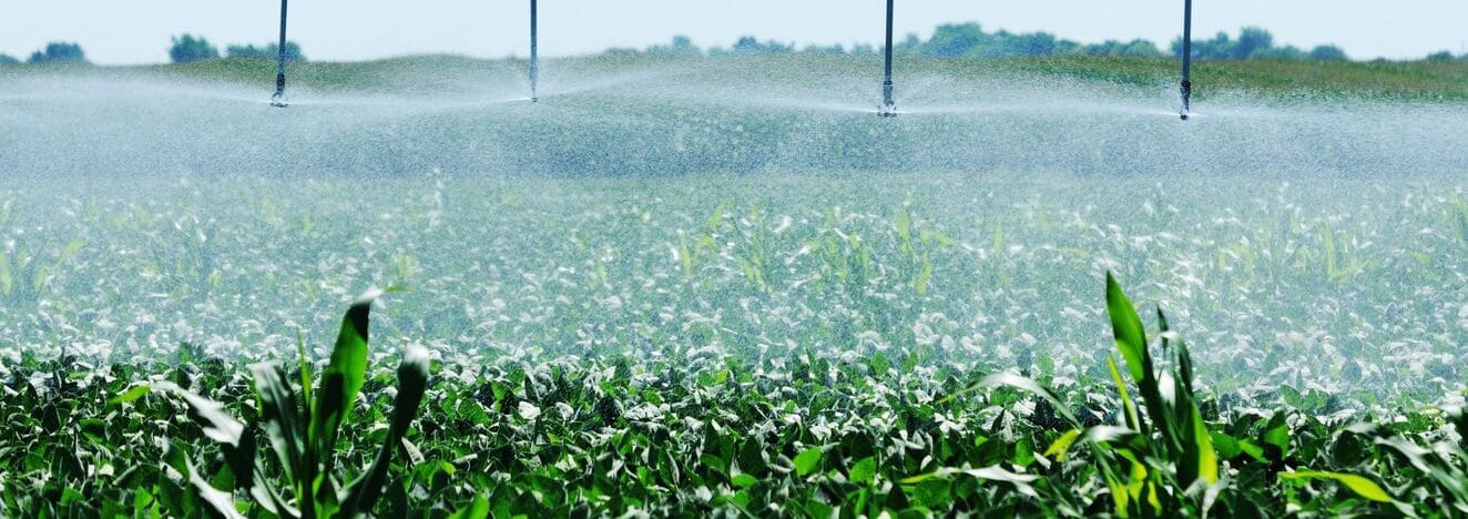 greenhouse crops being irrigated