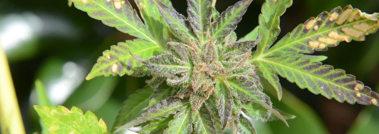 iStock 1351482956 modified be5e8b98 7e27 41c5 a7f6 0bfa537e70a8