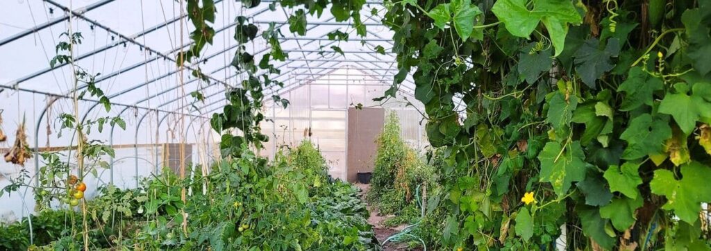 iStock 1435473411 modified 828af58b 6f07 4eac a93e 07e438fefb45