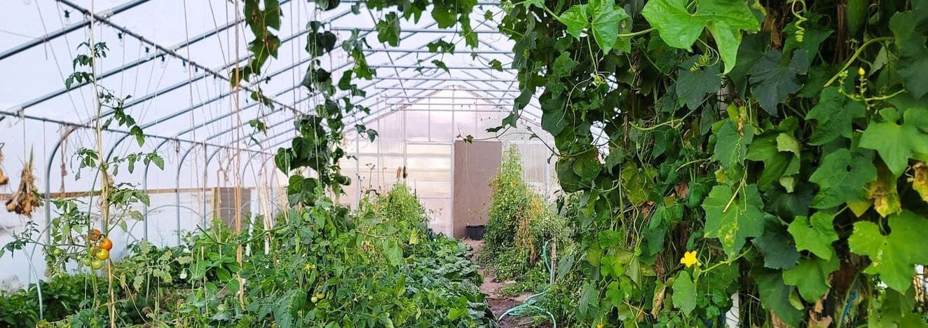 iStock 1435473411 modified 828af58b 6f07 4eac a93e 07e438fefb45