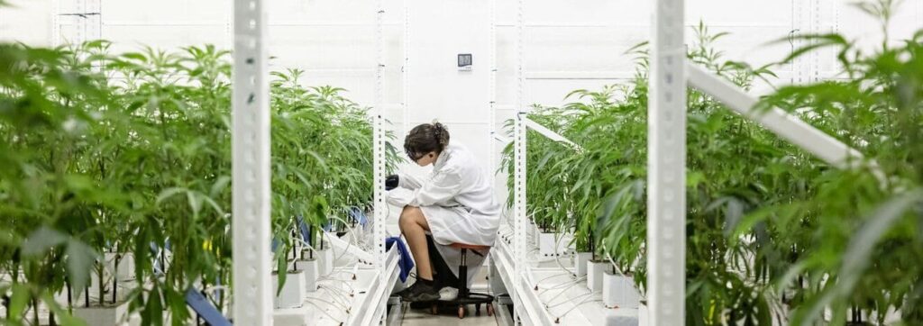 iStock 1438683965 modified d3bad7d3 4cf8 48e8 a5c9 40c8a8c7e293