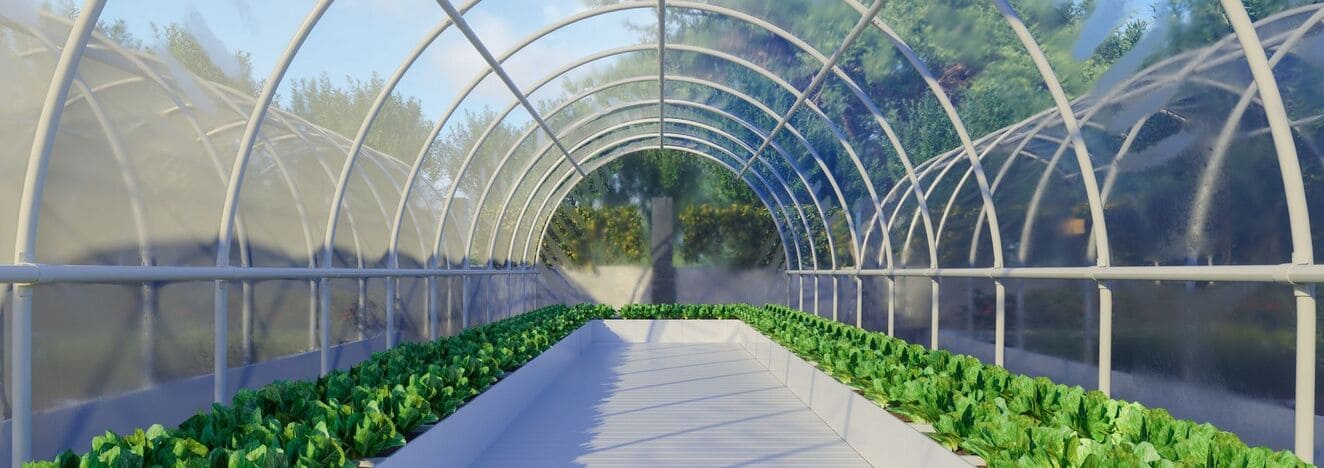 iStock 1477218896 modified fadea58f 1e61 4df2 b19d 62750899a02f