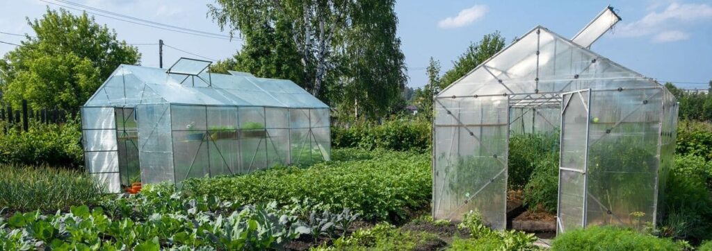 iStock 1549684328 modified 34a11408 fea0 4a7c 9791 8d31f3c3a80d