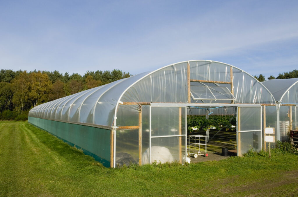 Polytunnel greenhouse vent