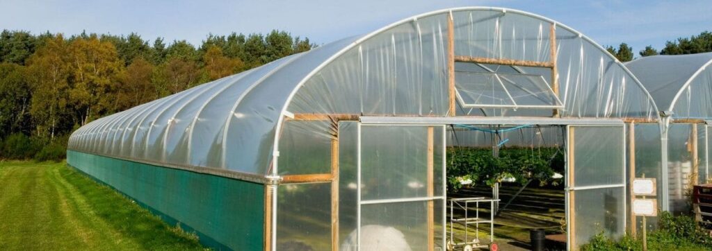 a well-ventilated greenhouse