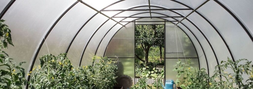 iStock 2160789574 modified 14397629 e977 415b b29f 49286d04f9ce