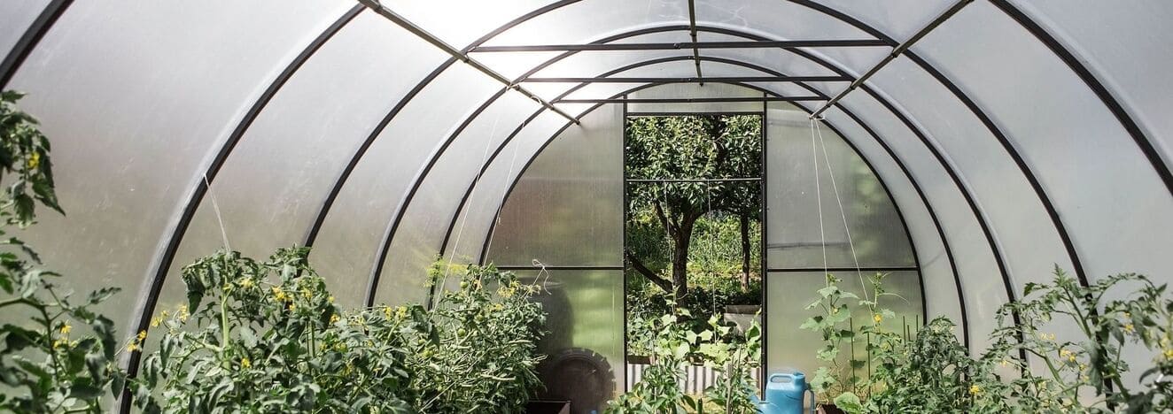 iStock 2160789574 modified 14397629 e977 415b b29f 49286d04f9ce