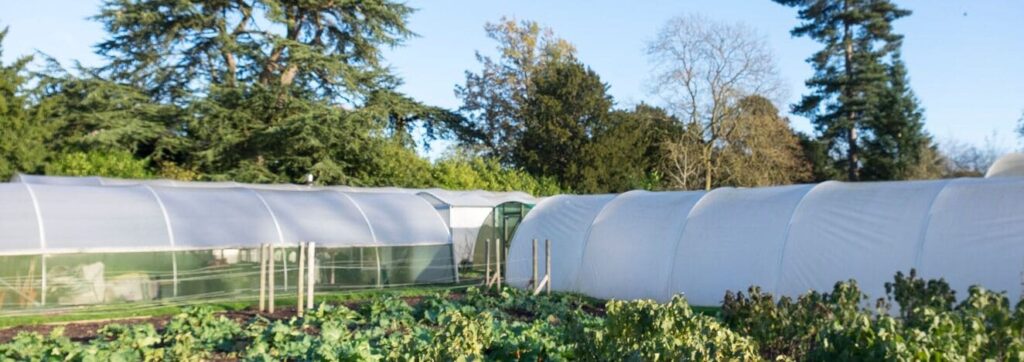 a greenhouse shaded by trees
