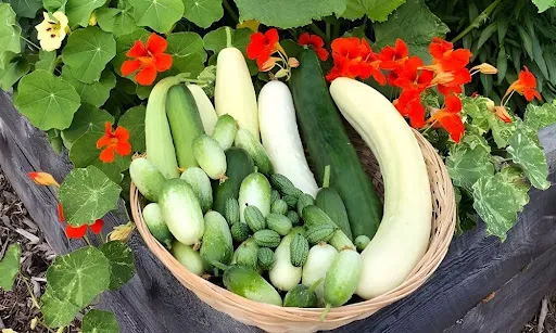 15sq0TkdLHoUd42qOnUXXELoAo0cFtAP