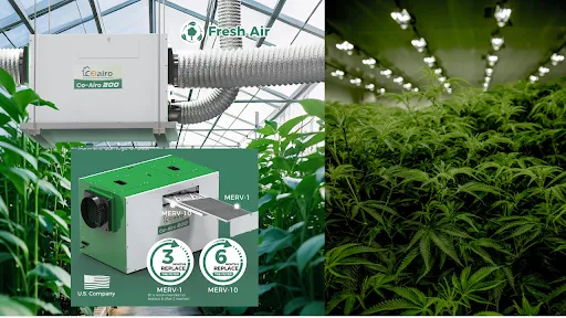 CoAiro dehumidifier 165 PPD in drying room