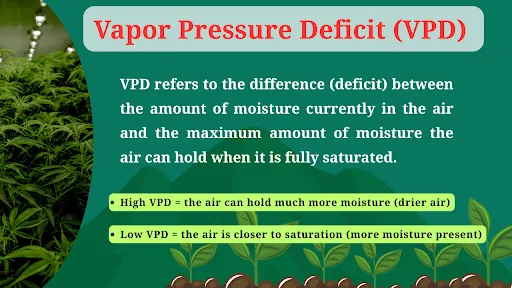 Meaning of Vapor Pressure Deficit VPD