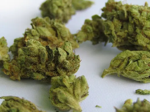 dried cannabis buds 2