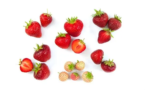 greenhouse strawberry varieties assortment