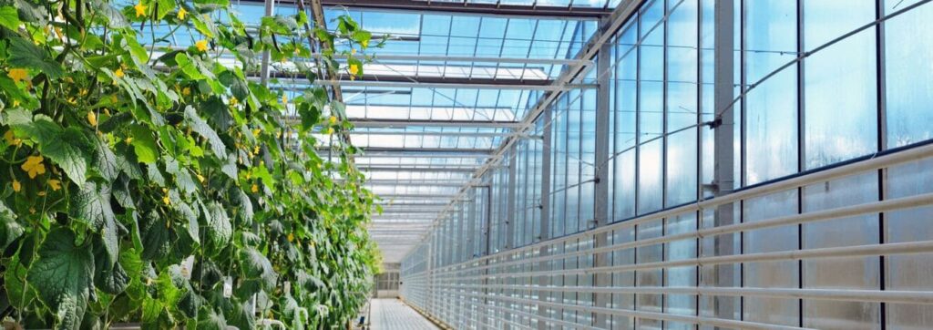 iStock 1218015788 modified e413f12d 2ddd 4a3e b904 f4edc8a9ba74