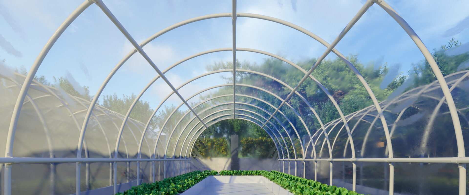 greenhouse in sun