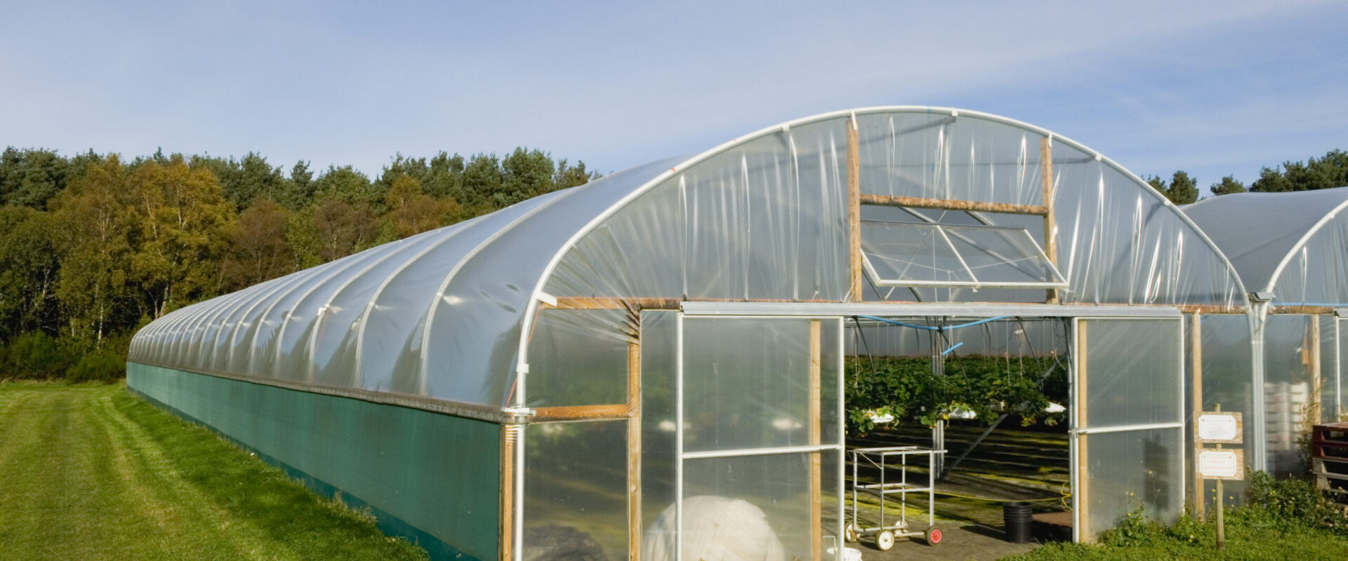 Polytunnel greenhouse vent